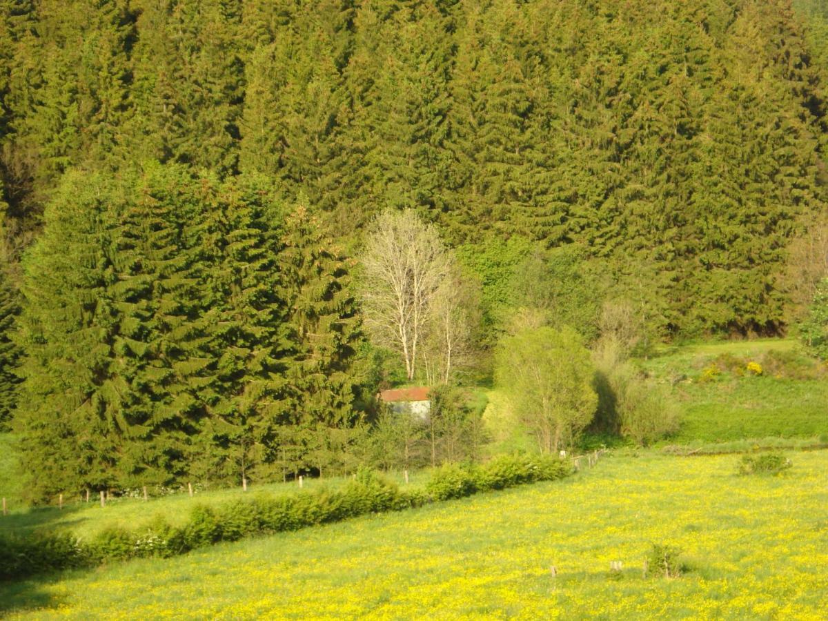 Location Panoramagreen Burg Reuland Eksteriør billede