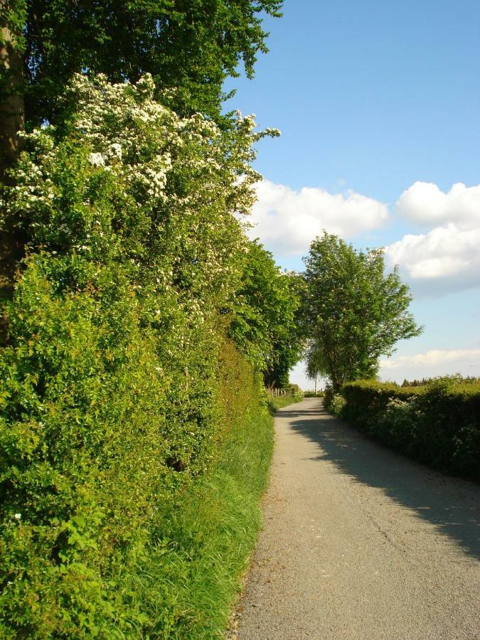 Location Panoramagreen Burg Reuland Eksteriør billede