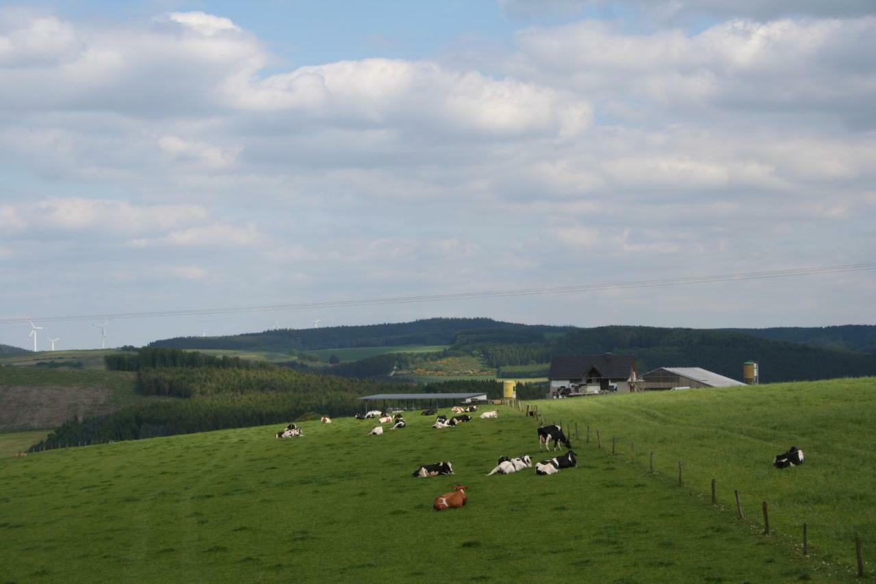 Location Panoramagreen Burg Reuland Eksteriør billede